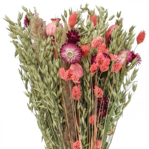 Floristik24 Mazzo di fiori secchi fiori di paglia grano papavero capsula Phalaris carice 55cm