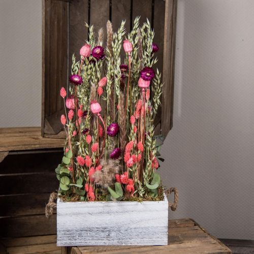 Prodotto Mazzo di fiori secchi fiori di paglia grano papavero capsula Phalaris carice 55cm