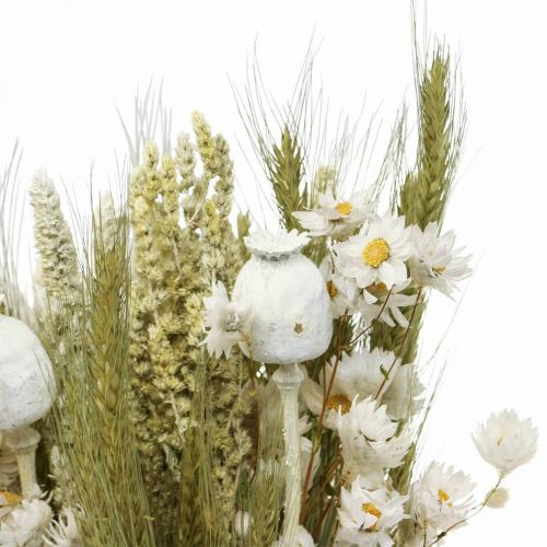 Floristik24 Bouquet di fiori secchi fiori di paglia grano papavero capsula erba secca 50cm