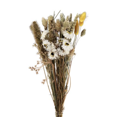 Prodotto Mazzo di fiori secchi fiori di paglia Phalaris bianco giallo 30 cm
