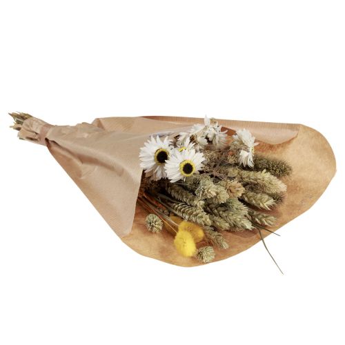 Prodotto Mazzo di fiori secchi fiori di paglia Phalaris bianco giallo 30 cm