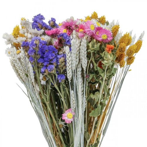 Floristik24 Bouquet di fiori secchi fiori di paglia spiaggia lavanda Phalaris grano 55 cm
