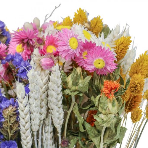 Floristik24 Bouquet di fiori secchi fiori di paglia spiaggia lavanda Phalaris grano 55 cm