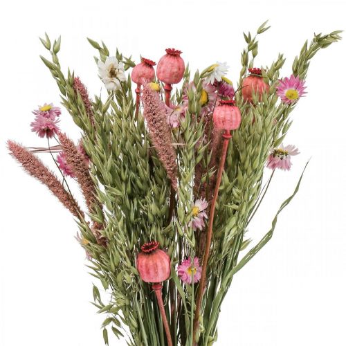 Floristik24 Bouquet essiccato Bouquet di fiori di campo Rosa H50cm 140g