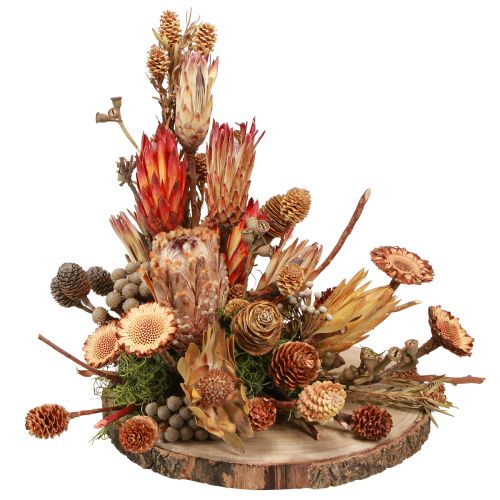Prodotto Coni di protea esotici con decorazione a secco Bellgum L24–48 cm 580 g