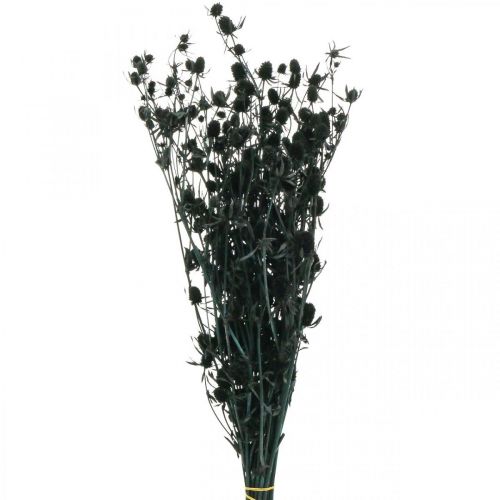 Floristik24 Fiori secchi di cardo selvatico fragola nera 100g