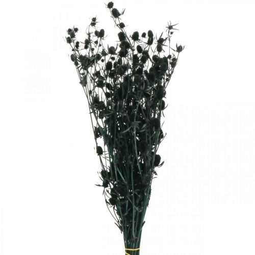 Floristik24 Cardo Secco Cardo Fragola Nero Fiori Secchi 100g