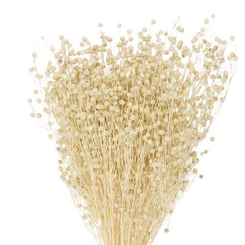 Prodotto Erba di lino essiccata, sbiancata al naturale, 50-55 cm, 180 g