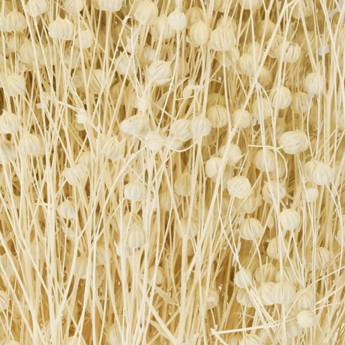 Prodotto Erba di lino essiccata, sbiancata al naturale, 50-55 cm, 180 g
