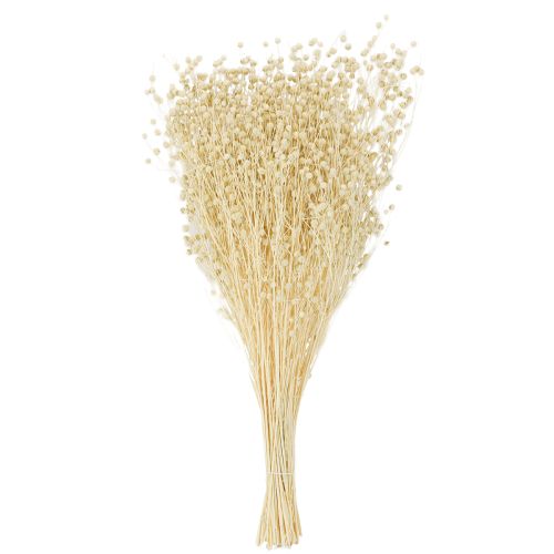 Prodotto Erba di lino essiccata, sbiancata al naturale, 50-55 cm, 180 g