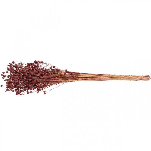 Prodotto Erba secca Lino essiccato Rosa antico H50–55 cm 80 g