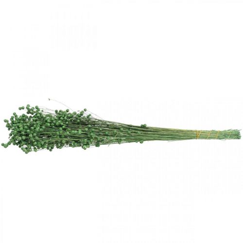 Prodotto Erba secca Lino essiccato Verde H50–55 cm 80 g