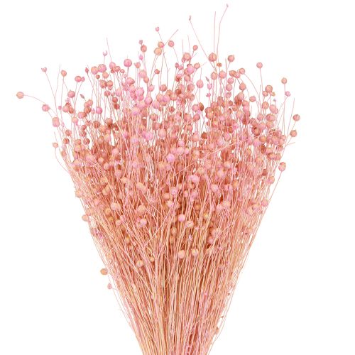 Prodotto Erba secca Lino essiccato Rosa chiaro H50–55 cm 80 g