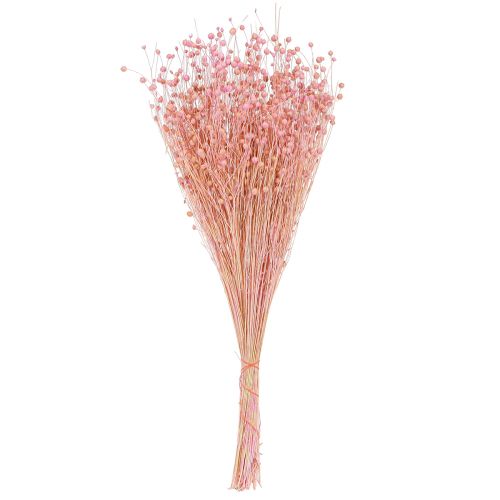 Prodotto Erba secca Lino essiccato Rosa chiaro H50–55 cm 80 g