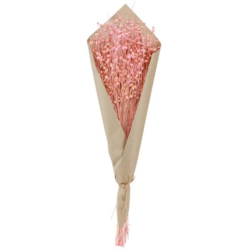 Prodotto Erba secca Lino essiccato Rosa chiaro H50–55 cm 80 g