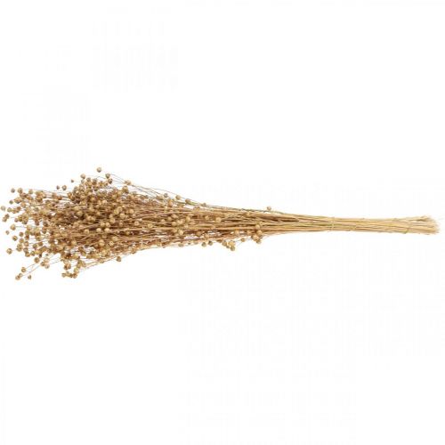 Floristik24 Erba secca Lino essiccato naturale H50-55cm 80g