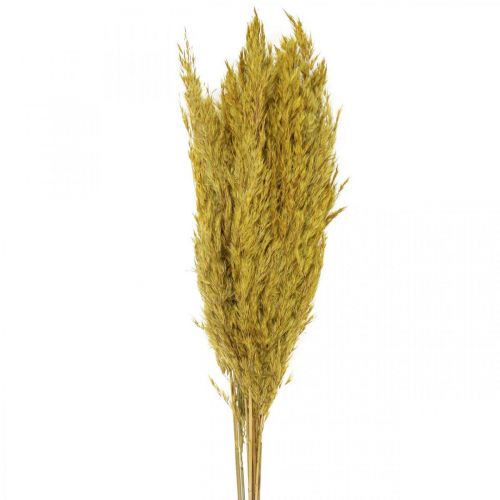 Prodotto Decorazione di erba secca carice essiccata gialla 70 cm 10 pz