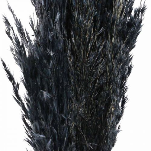Prodotto Erba secca carice erba decorativa nera essiccata 70 cm 10 pezzi