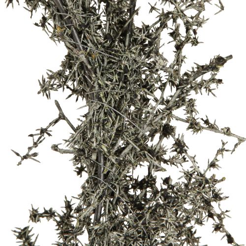 Prodotto Ghirlanda secca Ghirlanda decorativa rustica di asparagi base in legno Ø35cm