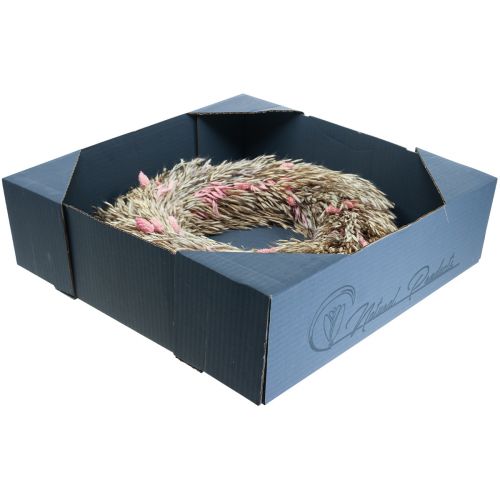 Floristik24 Ghirlanda secca avena phalaris corona rosa naturale Ø44cm