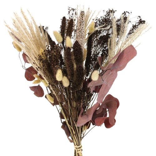 Floristik24 Bouquet secco bouquet di erba secca di eucalipto 60cm 120g