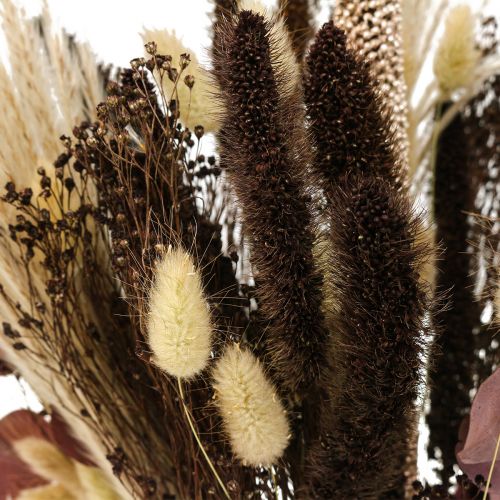 Floristik24 Bouquet secco bouquet di erba secca di eucalipto 60cm 120g