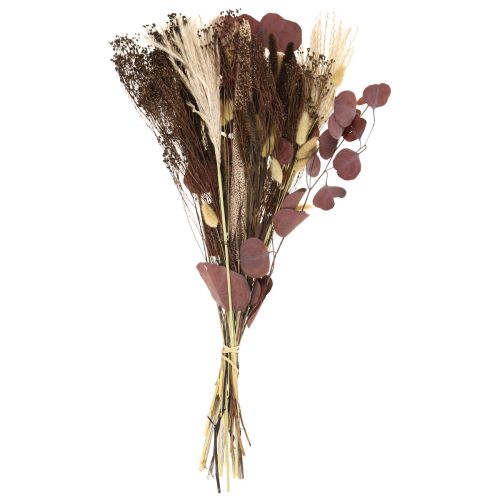 Floristik24 Bouquet secco bouquet di erba secca di eucalipto 60cm 120g
