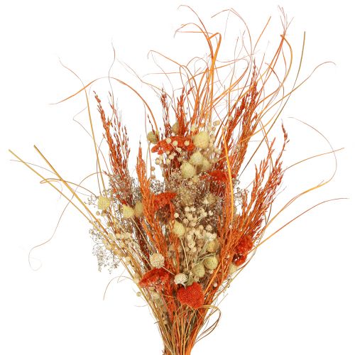 Prodotto Mazzo secco di cardo achillea arancio sbiancato 55 cm 150 g