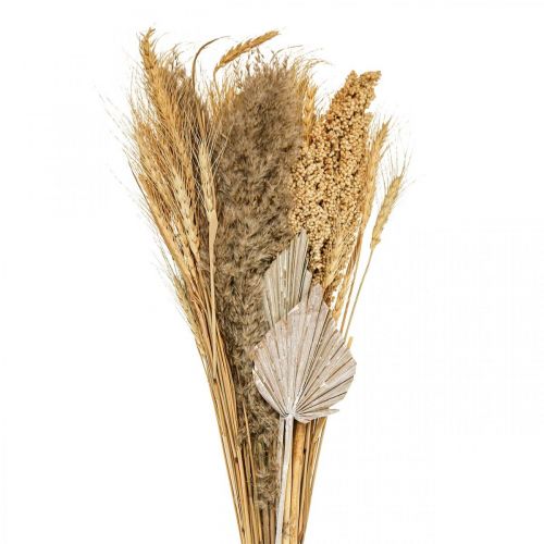 Floristik24 Bouquet secco di erba secca mazzo di grano natura, bianco 74cm