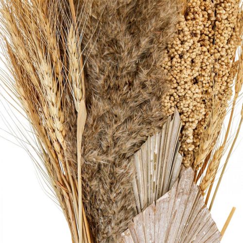 Floristik24 Bouquet secco di erba secca mazzo di grano natura, bianco 74cm