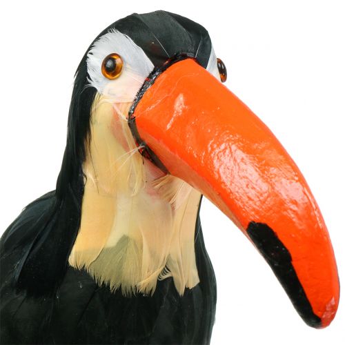 Floristik24 Tucano Deco con piume nero L37cm