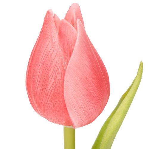 Prodotto Fiore di tulipano di alta qualità come replica realistica per vasi da tavolo, 21 cm, 6 pezzi
