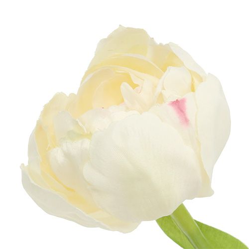 Prodotto Tulipano crema 37 cm 6 pezzi