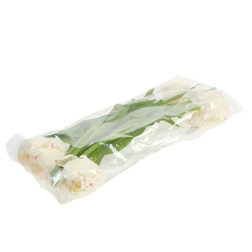 Floristik24 Tulipano crema 37 cm 6 pezzi