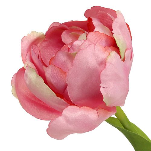 Floristik24 Tulipano rosa 37 cm 6 pezzi