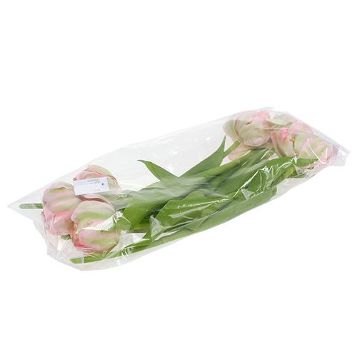 Floristik24 Tulipano rosa, verde 37 cm 6 pezzi