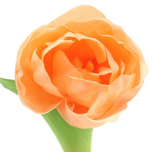 Floristik24 Tulipano pesca artificiale 26,5 cm 5 pezzi