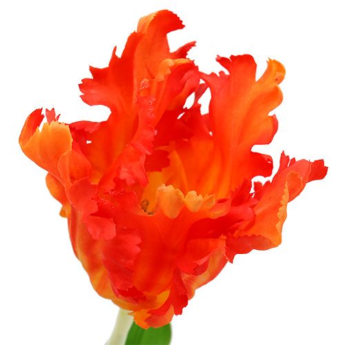 Prodotto Tulipano arancione 70 cm