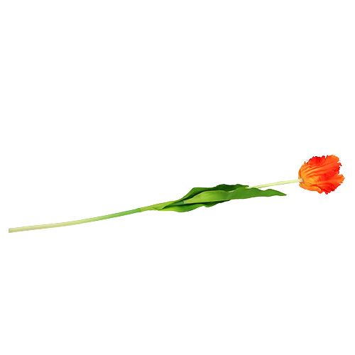 Floristik24 Tulipano arancione 70 cm