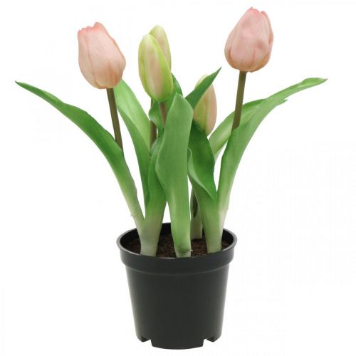 Floristik24 Tulipano rosa, verde in vaso Pianta artificiale in vaso Tulipano decorativo H23cm