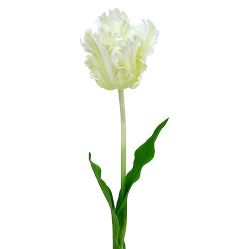Floristik24 Tulipano artificiale bianco 70cm