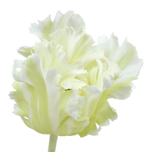 Prodotto Tulipano artificiale bianco 70cm