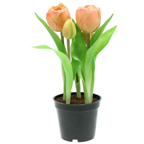 Floristik24 Tulipano Real-Touch Peach 23cm