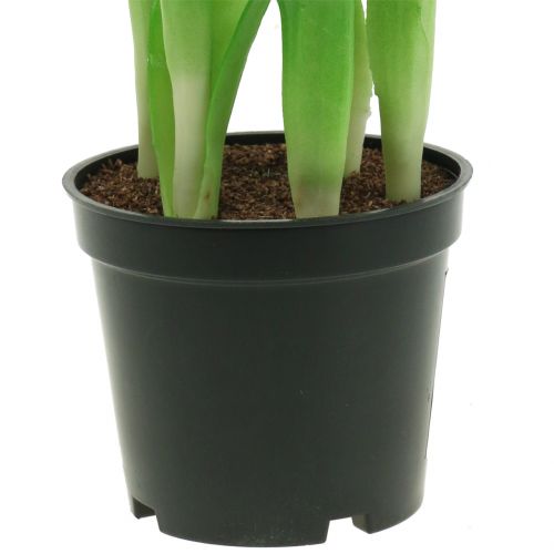 Prodotto Fiori Artificiali in Vaso Tulipani Artificiali Rosa Gialli 22,5 cm