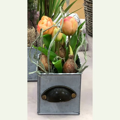 Floristik24 Parrot Tulip Real-Touch in vaso rosa 23cm