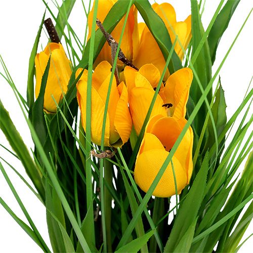 Floristik24 Tulipani in vaso giallo 30 cm