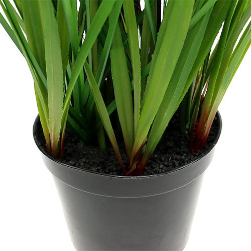 Floristik24 Tulipani in vaso giallo 30 cm