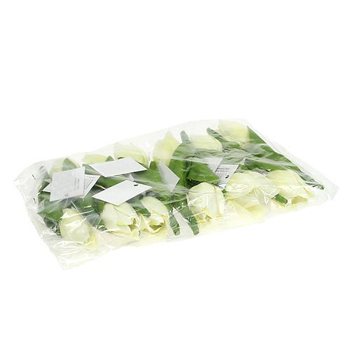 Floristik24 Decorazione primaverile, tulipani artificiali, fiori di seta, tulipani decorativi verde/crema 12 pezzi