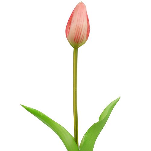 Floristik24 Colletto a tulipano rosa vero tocco