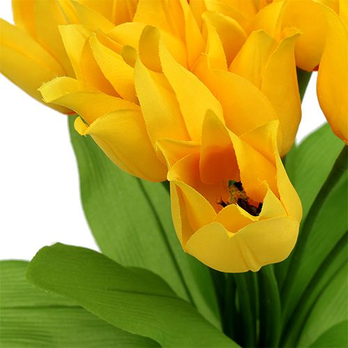 Floristik24 Cespuglio di tulipani Giallo H30cm